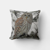 Chouette rayée クッション (正面)