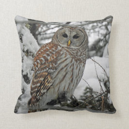 Chouette rayée クッション