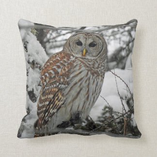 Chouette rayée クッション