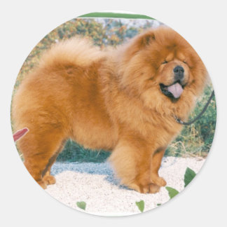 Chow-Chow ラウンドシール