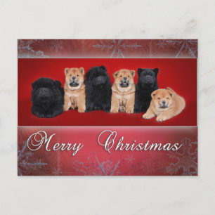 Chow-chow_kartkaクリスマス シーズンポストカード
