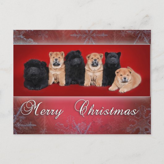 Chow-chow_kartkaクリスマス シーズンポストカード (正面)