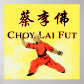 Choy Lai Fut ポスター (正面)