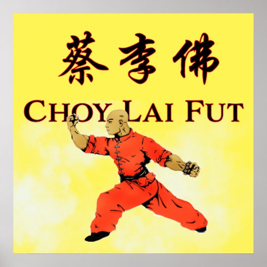 Choy Lai Fut ポスター (正面)