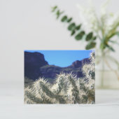 Choya Cactus – アリゾナポストカード ポストカード (スタンド正面)