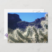 Choya Cactus – アリゾナポストカード ポストカード (正面/裏面)