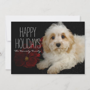 Chrirstmas Cavachonの子犬 シーズンカード