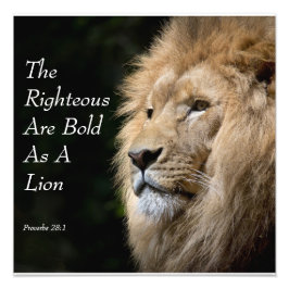 Christian Art - Lion - Proverbs 28:1 フォトプリント