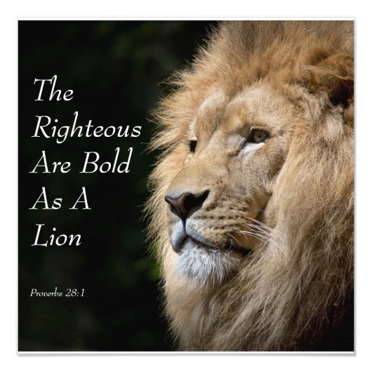 Christian Art - Lion - Proverbs 28:1 フォトプリント (正面)