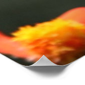 Christian Poster - Butterfly - New Creation ポスター (角)