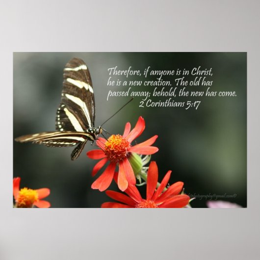 Christian Poster - Butterfly - New Creation ポスター (正面)