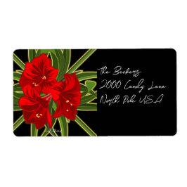 Christmas Amaryllis Garden Vibrant  ラベル