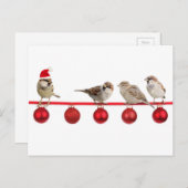 Christmas birds sparrows シーズンポストカード (正面/裏面)