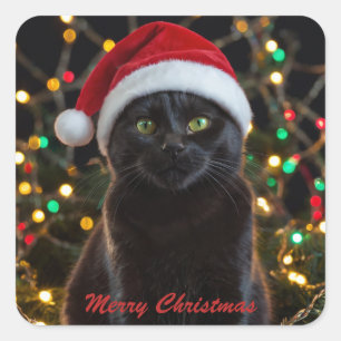 Christmas Black Cat - Santa Hat パーソナライズされた写真 スクエアシール