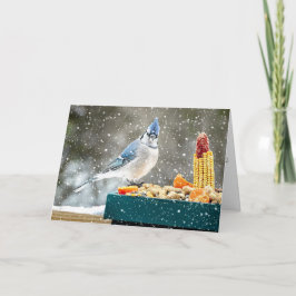 Christmas Blue Jay Christmas Card シーズンカード