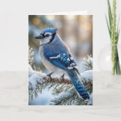 Christmas Blue Jay On a Snowy Pine  カード (正面)