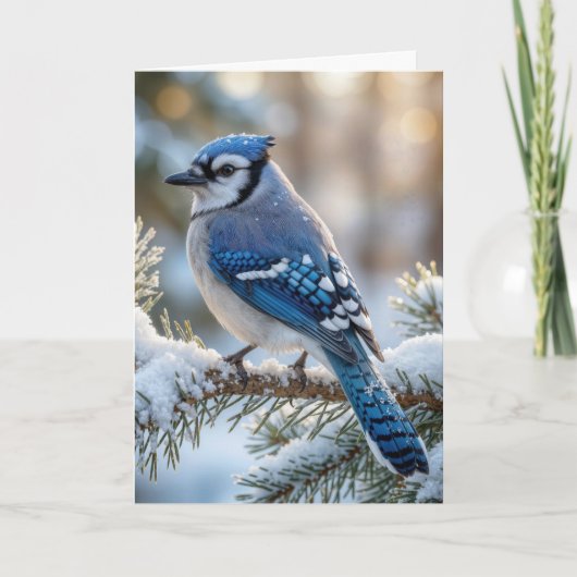 Christmas Blue Jay On a Snowy Pine  カード (正面)