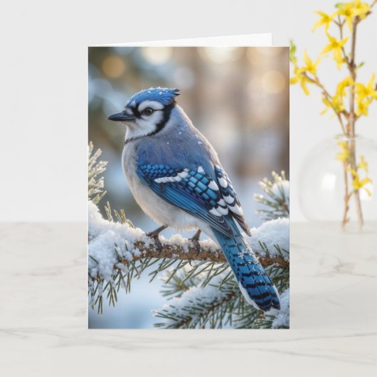 Christmas Blue Jay On a Snowy Pine  カード (黄色い花)