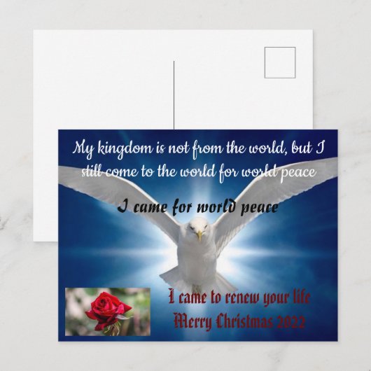 christmas card 2022 ポストカード (正面/裏面)