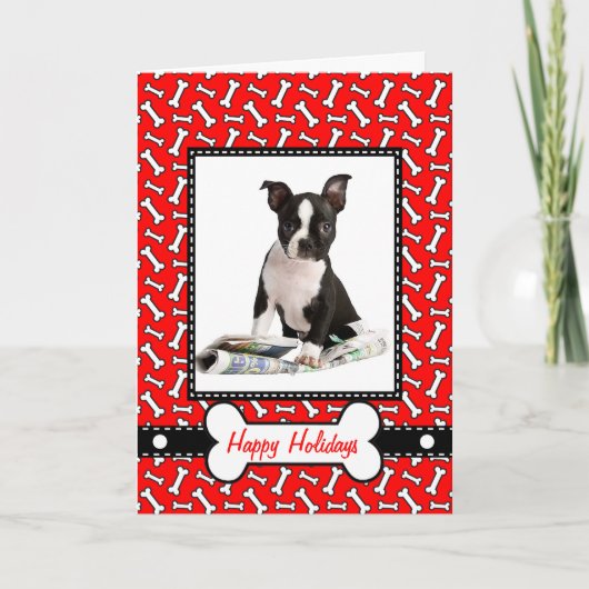 Christmas Card from the Dog – まいけなたはNice シーズンカード (正面)