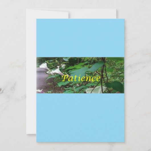 Christmas card patience シーズンカード (正面)