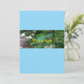 Christmas card patience シーズンカード (スタンド正面)