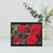 Christmas card:Rosa Kardinal シーズンポストカード (スタンド正面)