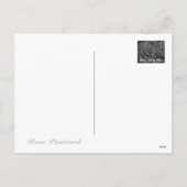 Christmas card:Rosa Kardinal シーズンポストカード (裏面)