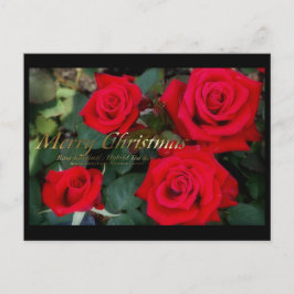 Christmas card:Rosa Kardinal シーズンポストカード