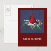 CHRISTMAS CARDINAL: BIRD: ART: SNOW シーズンポストカード (正面/裏面)
