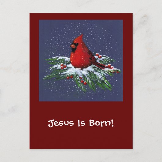 CHRISTMAS CARDINAL: BIRD: ART: SNOW シーズンポストカード (正面)