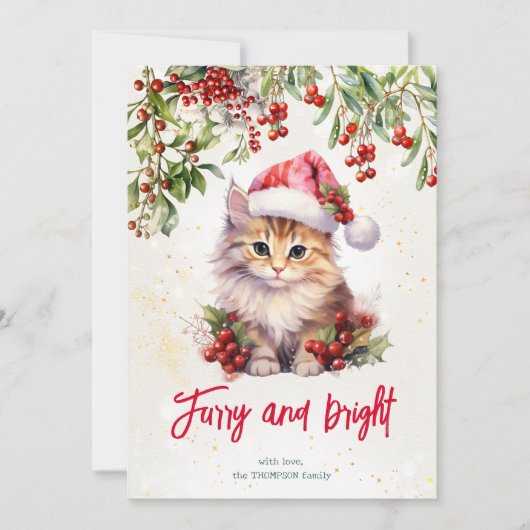 Christmas cat furry and bright シーズンカード (正面)