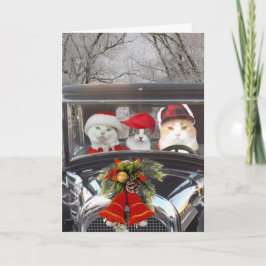 Christmas Cats in Car シーズンカード