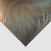 Christmas Cats kissing Tissue Paper 薄葉紙 (詳細)