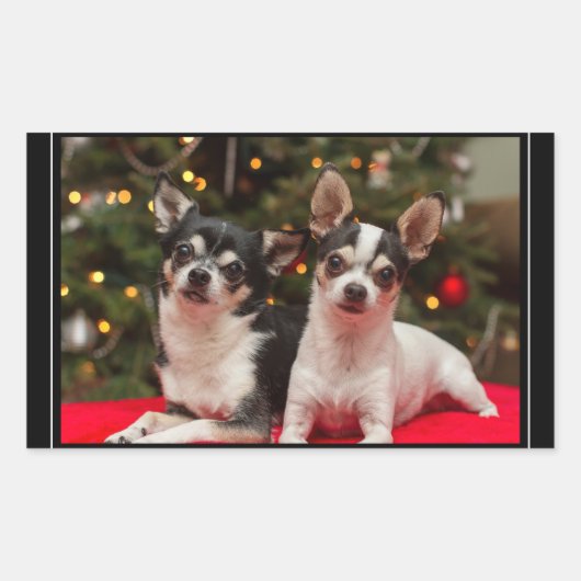 Christmas Chihuahua's 長方形シール (正面)