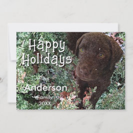 Christmas Chocolate Labrador Dog "Happy Holidays" カード