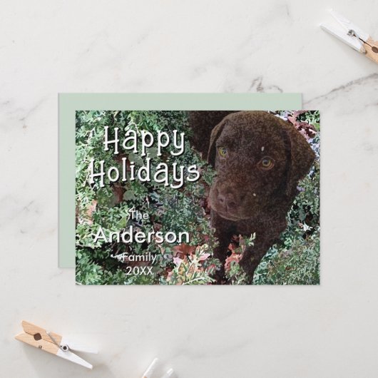 Christmas Chocolate Labrador Dog "Happy Holidays"  カード (正面/裏面インサイチュ)