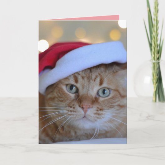 CHRISTMAS CUTE GINGER CAT GREETING CARD サンキューカード (正面)