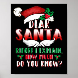 Christmas Dear Santa Before I Explain How Much ポスター