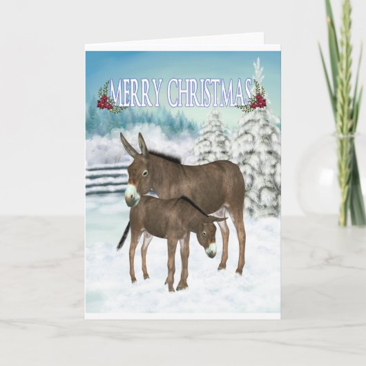 Christmas Donkeys. christmas card シーズンカード (正面)