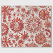 Christmas Elegance n22 ラッピングペーパー (フラット)