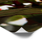 Christmas Flowers ポスター (コーナー)