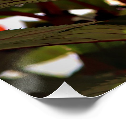 Christmas Flowers ポスター (コーナー)