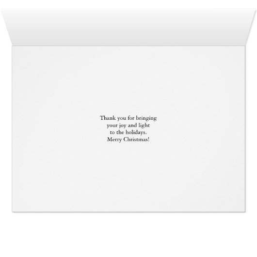 Christmas for Daughter, Skateboarding and Lights (内部横(下))