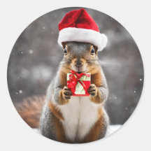 Christmas Fox Squirrel with a Santa Hat