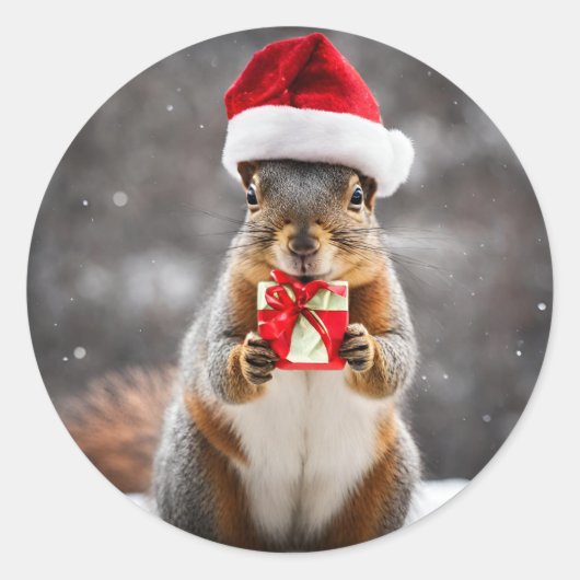 Christmas Fox Squirrel with a Santa Hat ラウンドシール (正面)