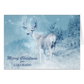 Christmas from Colorado Deer Christmas Card (正面横)