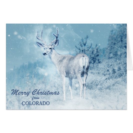 Christmas from Colorado Deer Christmas Card (正面横)