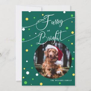 Christmas FurryおもしろいとBright Petの年次2写真 シーズンカード