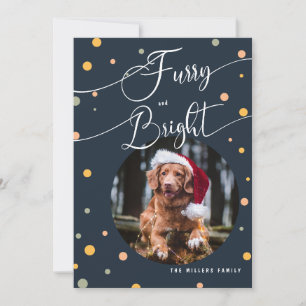 Christmas FurryおもしろいとBright Petの年次2写真 シーズンカード